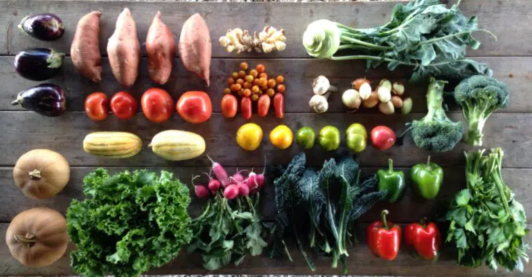 CSA share from Elmwood Stock Farm