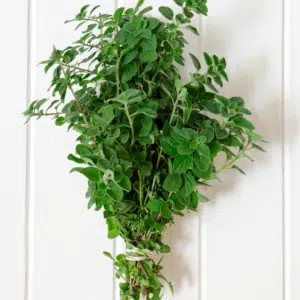 Fresh Herbs, Oregano