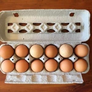 Eggs, Chicken