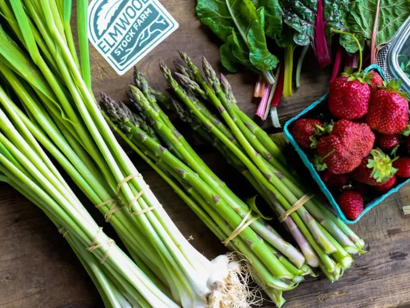 CSA farm share vegetables