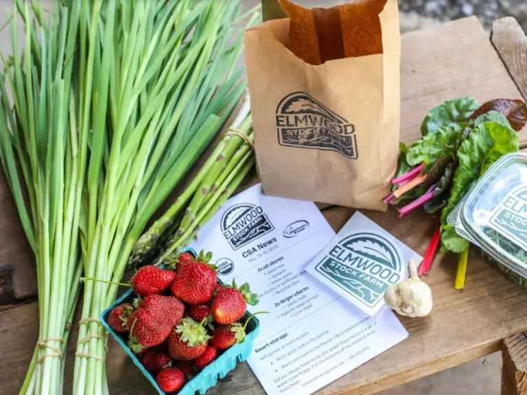 early spring CSA share