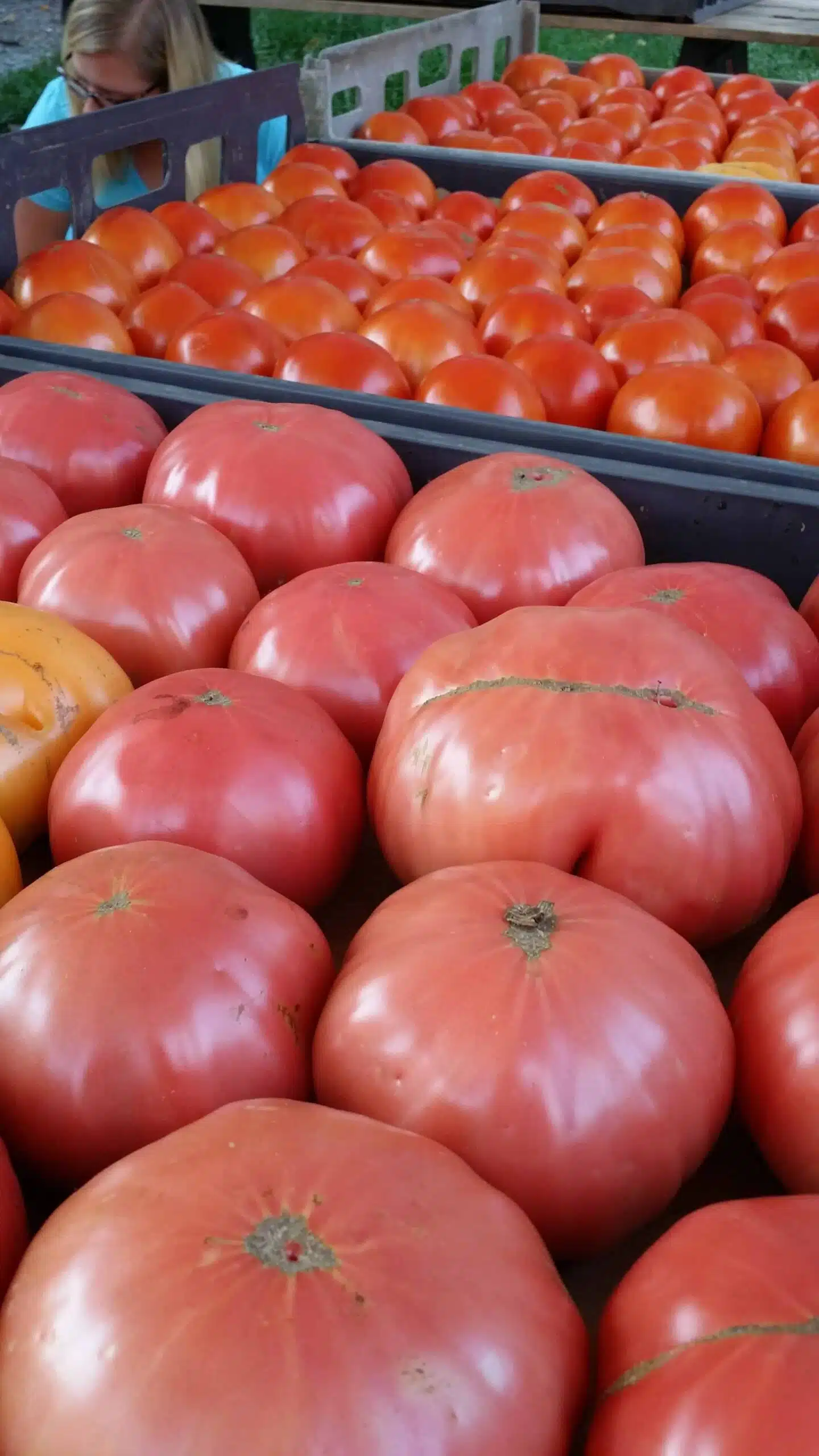 Tomatoes, Heirloom