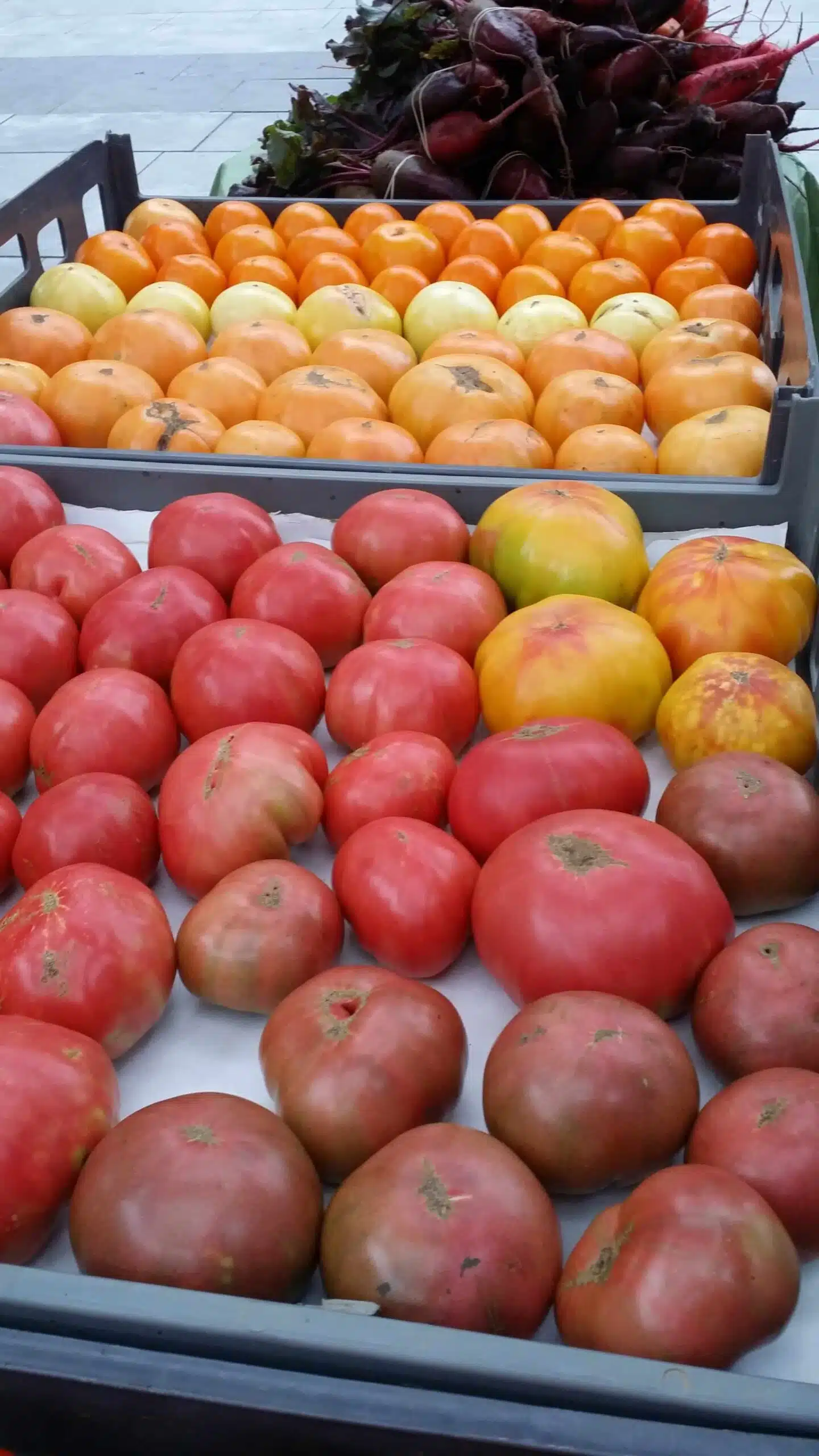 Tomatoes, Heirloom