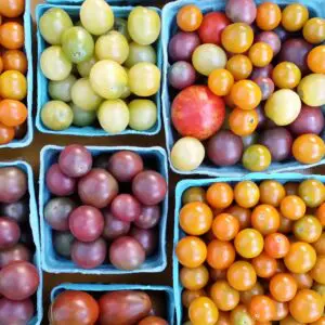 Tomatoes, Pint of Colorful