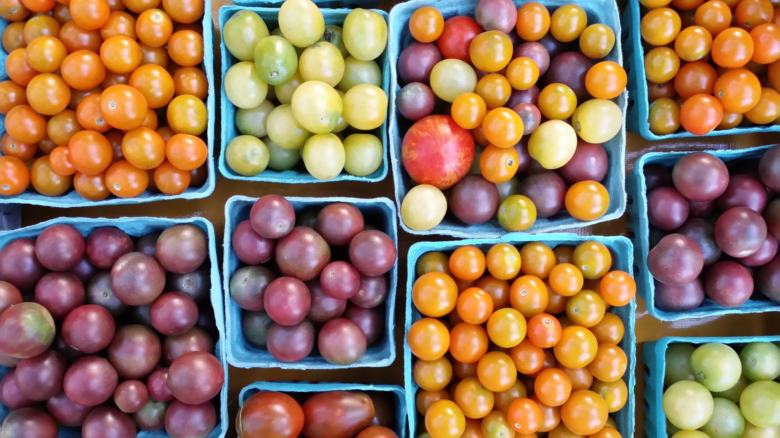 Tomatoes, Pint of Colorful