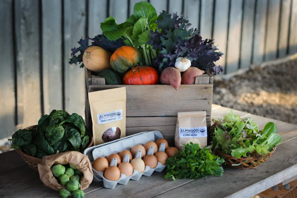 Robust CSA Share from Elmwood Stock Farm