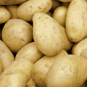 Potatoes, White