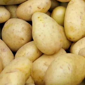 Potatoes, White