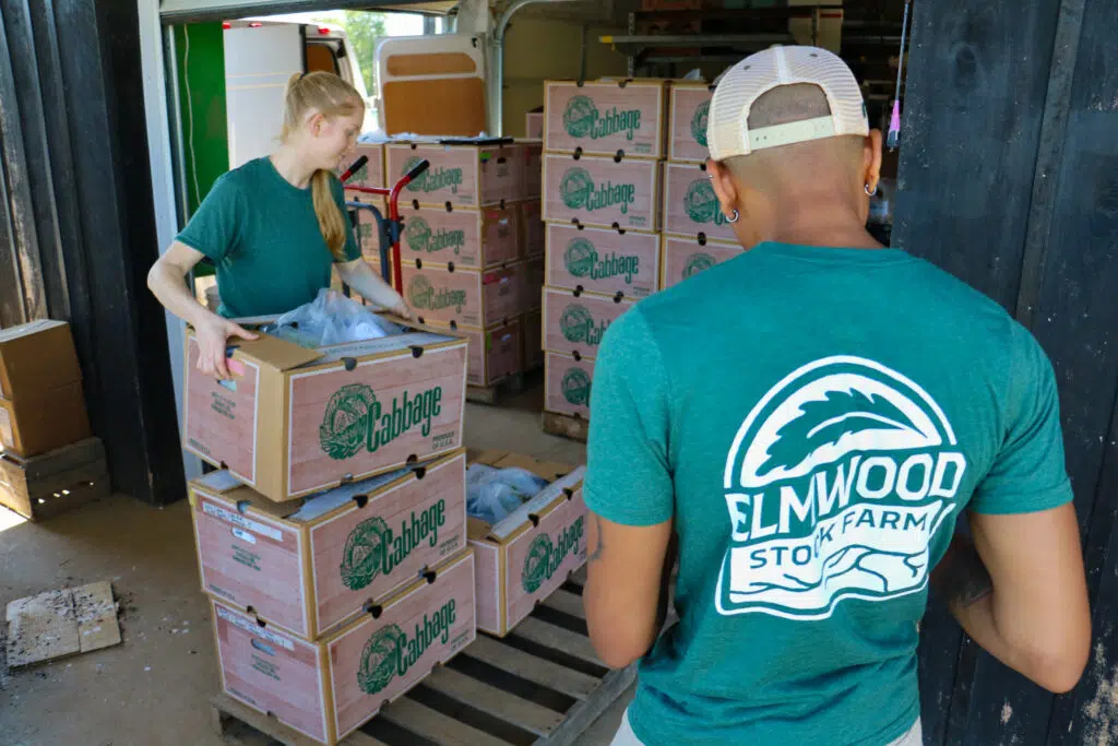 Staff loading a delivery van