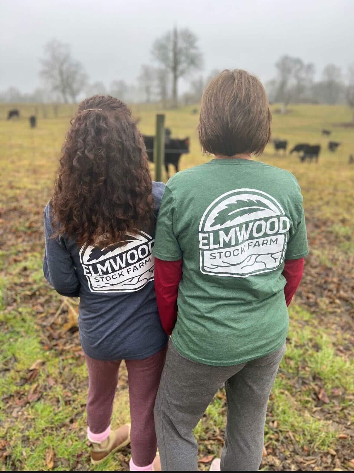 Elmwood Stock Farm Long-Sleeved Shirt - Image 2