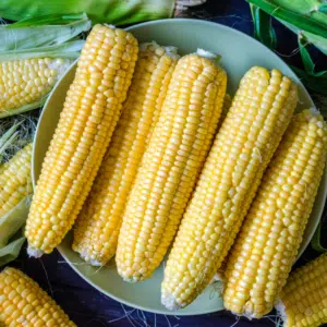 Corn, Sweet