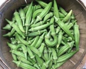 Okra