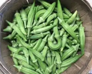 Okra