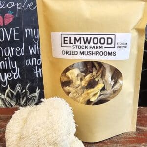 Herb, Dried Mushrooms