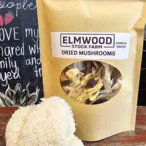 Herb, Dried Mushrooms