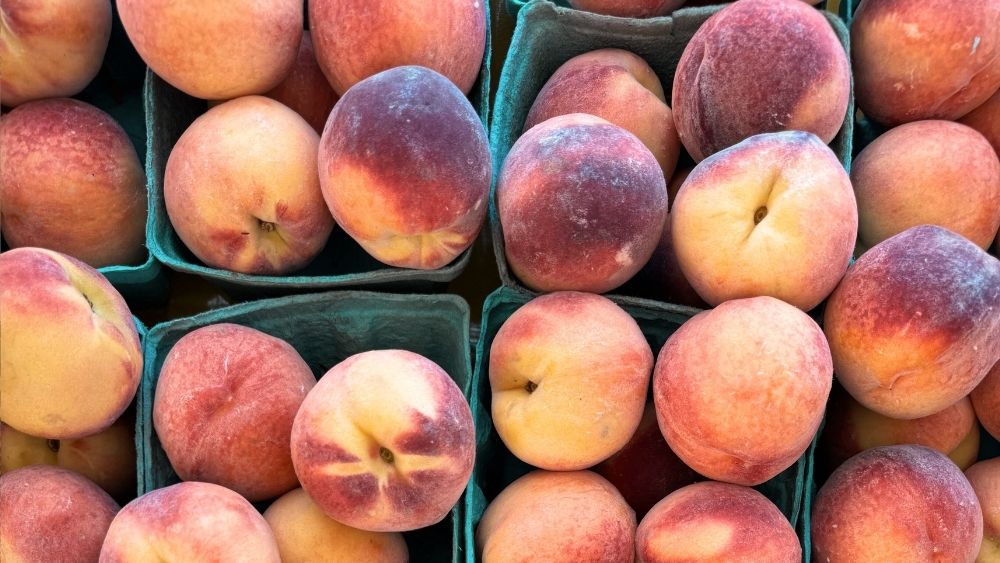 pints and pints of peaches.