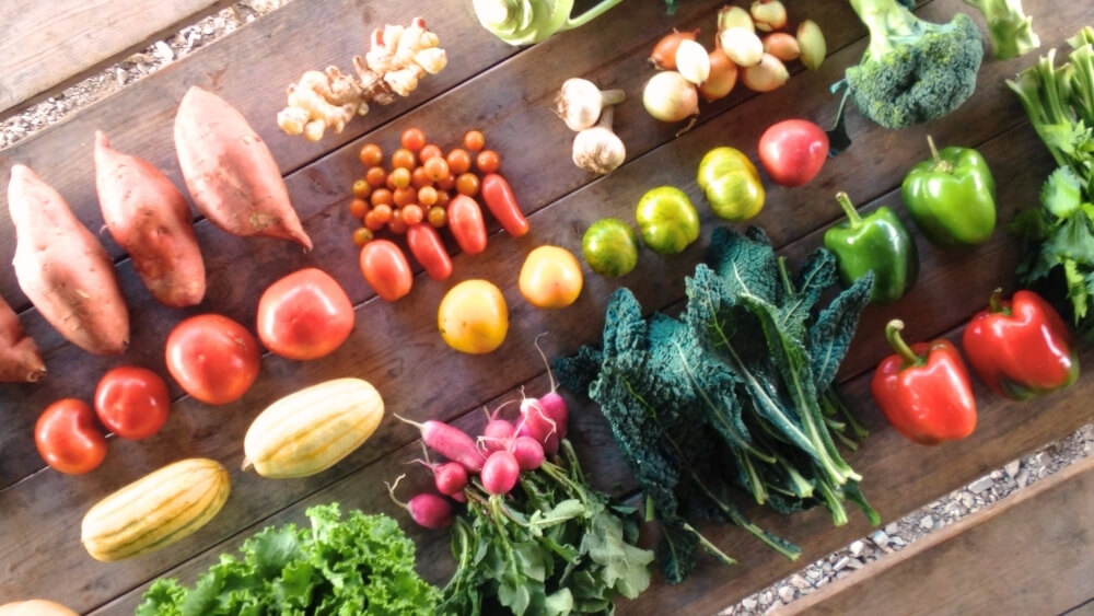 a large fall csa share with a wide variety of veggies